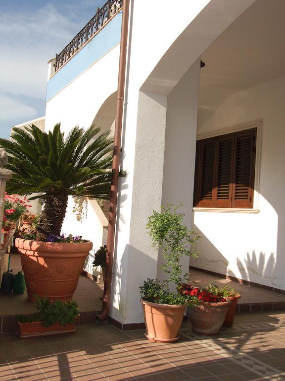 B&B Minerva Castro  Exteriér fotografie